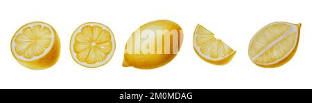 Ensemble aquarelle de citron mûr et de citron et de tranches. Illustration isolée de l'immunité tirée à la main renforçant les vitamines sur fond d'écriture Banque D'Images