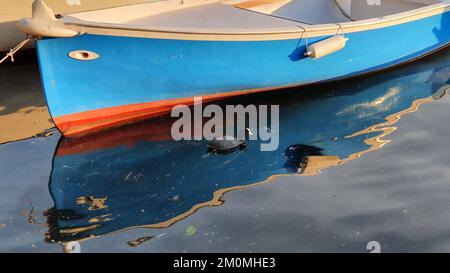 un petit bateau se reflète à la surface de la mer Banque D'Images