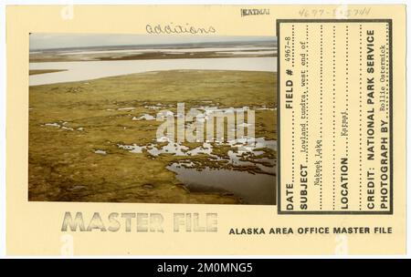 Toundra des basses terres, extrémité ouest du lac Naknek. Photographies du Groupe de travail de l'Alaska Banque D'Images