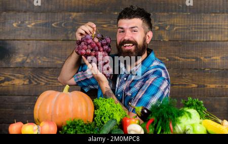 Fermier fier de la récolte des légumes et des raisins. Concept d'agriculture et de récolte. L'homme barbu tient le fond en bois de raisin. Fermier avec maison Banque D'Images