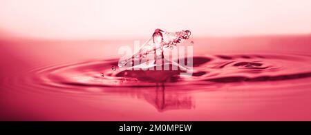 Viva Magenta couleur de l'année 2023. Projection d'eau sur la surface, espace de texte. Banque D'Images