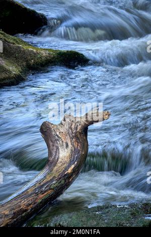 Une photo panoramique de bois flotté sur une rivière rocheuse avec un effet d'eau soyeux Banque D'Images