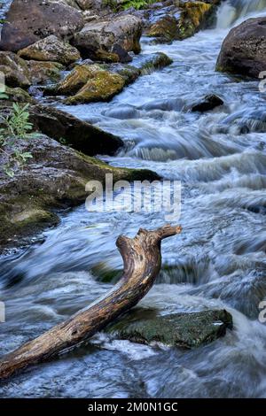 Une photo panoramique de bois flotté sur une rivière rocheuse avec un effet d'eau soyeux Banque D'Images