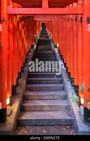 Tunnel de la porte d'Orange Torii au sanctuaire HIE Jinja Shinto, Tokyo, Japon Banque D'Images