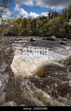 L'énergie naturelle de l'eau à Aysgarth Falls dans les Yorkshire Dales Banque D'Images