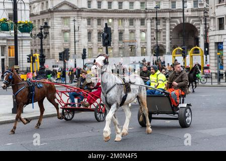 Événement intitulé « The London Christmas Horse Drive of Gitans, Travellers and Visitors from all the UK ». Poney et piège dans Trafalgar Square. Banque D'Images