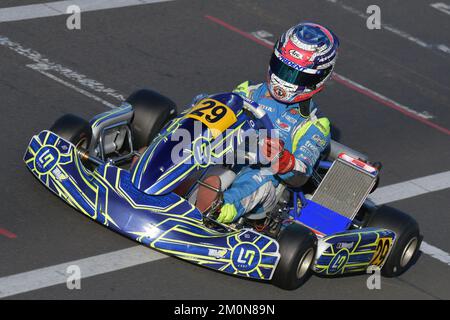 Zane Maloney, pilote de course barbadienne, Red Bull Racing Junior Team et F1 Reserve Driver en 2023. Banque D'Images