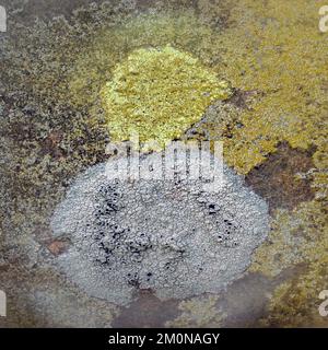 Photographie réaliste et abstraite en couleur des roches côtières pierres plage sculptée par les passages du temps et de la marée avec des motifs et des textures grainés Banque D'Images