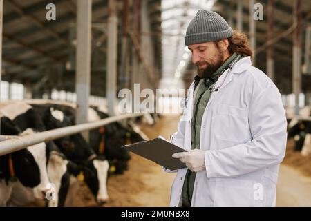 Vétérinaire masculin en manteau blanc écrivant la conclusion dans la carte après examen médical des vaches à la ferme Banque D'Images