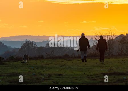 Promeneurs de chiens, chien marchant au coucher du soleil, Hampton Ridge, Frogham, New Forest, Hampshire, Royaume-Uni, 7 décembre, hiver 2022. Banque D'Images