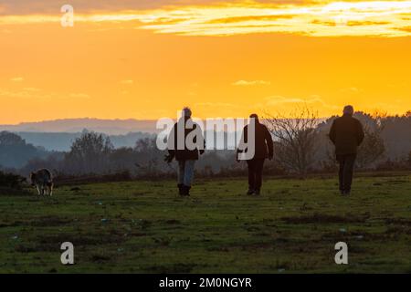 Promeneurs de chiens, chien marchant au coucher du soleil, Hampton Ridge, Frogham, New Forest, Hampshire, Royaume-Uni, 7 décembre, hiver 2022. Banque D'Images