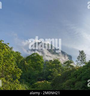 Belle vue sur le paysage du matin de la montagne karstique et des nuages avec forêt en premier plan près de Chiang Dao, Chiang Mai, Thaïlande Banque D'Images