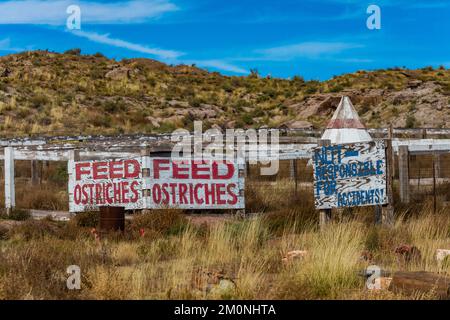 TIPI et autruches à la boutique de bois pétrifié de Stewart, le long de la route 66, près de Holbrook, Arizona, États-Unis [aucune autorisation de propriété ; licence éditoriale uniquement] Banque D'Images