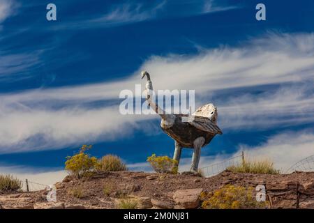 Autruche à la boutique de bois pétrifié de Stewart, le long de la route 66 près de Holbrook, Arizona, États-Unis [aucune autorisation de propriété ; licence éditoriale uniquement] Banque D'Images