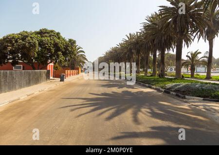 Swakopmund, Namibie - 03 octobre 2018 : promenade à Swakopmund. Végétation exotique. Banque D'Images
