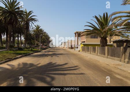 Swakopmund, Namibie - 03 octobre 2018 : promenade à Swakopmund. Végétation exotique. Banque D'Images