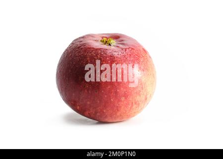 Pomme rouge biologique fraîche avec fleur visible et gouttes d'eau sur la peau, isolée avec ombre sur un fond blanc, espace de copie Banque D'Images