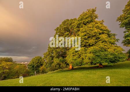 Ciel spectaculaire au coucher du soleil depuis Windmill Hill Gravesend Kent. Banque D'Images