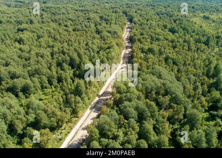 Une route de gravier fraîchement construite qui traverse la forêt boréale de feuillus en Estonie, dans le nord de l'Europe Banque D'Images