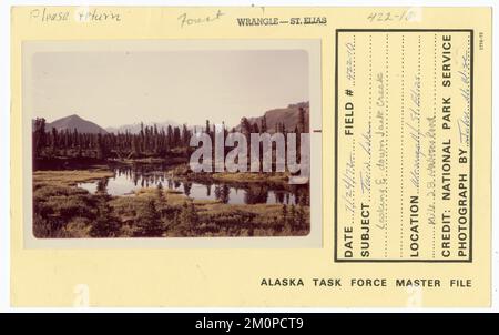 Twin Lake avec vue sur Jack Creek. Photographies du Groupe de travail de l'Alaska Banque D'Images