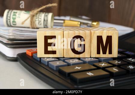 Concept de finance et d'économie. Sur la table sont de l'argent, une calculatrice, un bloc-notes et des cubes avec l'inscription - EGM Banque D'Images