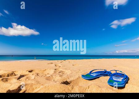 Tongs sur la plage de Jandia, Las Palmas Banque D'Images