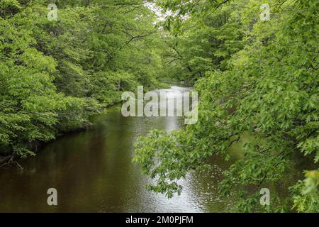 This river is 37.5 miles long, located in central NH. A tributary of the Contoocook River, it's part of the Merrimack River watershed. It begins in Ci Banque D'Images