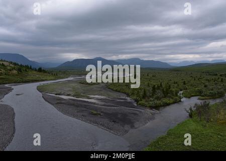 Rivière Ribbon dans le parc national de Denali Banque D'Images