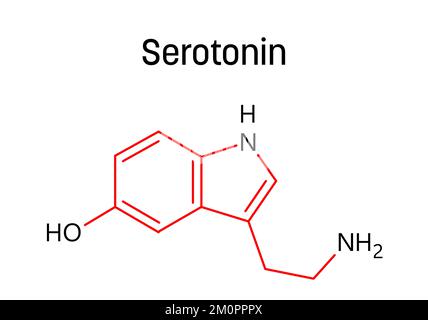 Structure moléculaire de la sérotonine. La sérotonine est un neurotransmetteur monoamine modulant l'humeur, la cognition, la récompense, l'apprentissage, la mémoire et d'autres fonctions. Formule structurale vectorielle de composé chimique avec des liens rouges et des étiquettes d'atomes noirs. Illustration de Vecteur