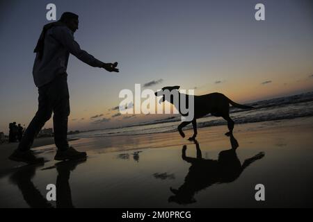 Gaza, Palestine. 07th décembre 2022. Un palestinien forme son chien pendant le coucher du soleil le long de la mer, à l'ouest de la ville de Gaza. (Photo de Mahmoud Issa/SOPA Images/Sipa USA) crédit: SIPA USA/Alay Live News Banque D'Images
