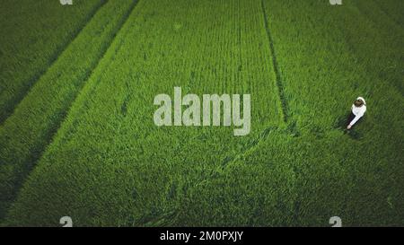 Une vue aérienne d'une fille dans un champ vert Banque D'Images