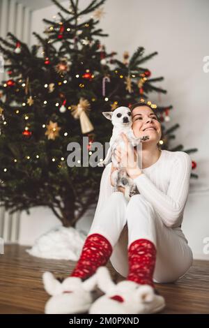 Petit chihuahua blanc en cuddling avec son propriétaire jeune femme caucasienne sous l'arbre de Noël Banque D'Images