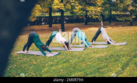 Les filles de vêtements de sport tendance font de l'exercice dans le parc municipal en se déplaçant d'une position à une autre sur des tapis de yoga. L'herbe verte et jaune et les arbres d'automne sont visibles dans le parc. Banque D'Images