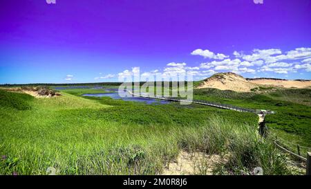 Vue lointaine de la dune et du pont situé près de la plage de l'Île-du-Prince-Édouard Banque D'Images