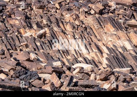 Cristaux de quartzite prismatique standard de grande taille. Holm Carpenter. Cratère Ramon. Désert du Néguev. Israël Banque D'Images