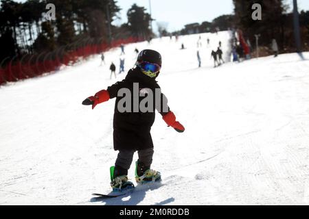 SHENYANG, CHINE - 7 DÉCEMBRE 2022 - les gens font l'expérience de la joie du ski à la station de ski de Qipanshan Snow and Ice World à Shenyang, province de Liaoning, CH Banque D'Images