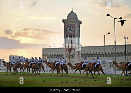 Impressions de Doha/Qatar sur 7 décembre 2022. Monté garde de chameau sur les chameaux, promenade devant le siège Amiri Divan du gouvernement de l'émir de l'État du Qatar, bâtiment du gouvernement. Hommes arabes, chameau, chameaux. Coupe du monde de football 2022 au Qatar à partir de 20,11. - 18.12.2022 ? Banque D'Images