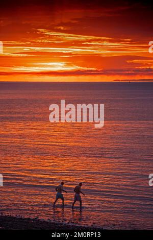 Swansea, Royaume-Uni. 08th décembre 2022. Les nageurs prennent l'eau au lever du soleil à Langland Bay, Swansea, un matin hivernal. Credit: Phil Rees/Alamy Live News Banque D'Images