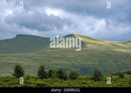 Parc national de PEN y Fan et Corn du Brecon Beacons en été Banque D'Images