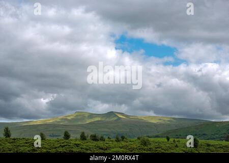 Pen y Fan et Corn du au loin - vu de Mynydd Illtud Common sud du pays de Galles Banque D'Images