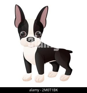 Boston terrier chiot cool debout dans le style de dessin animé isolé sur fond blanc. Joli motif chien et imprimé. Illustration vectorielle Illustration de Vecteur