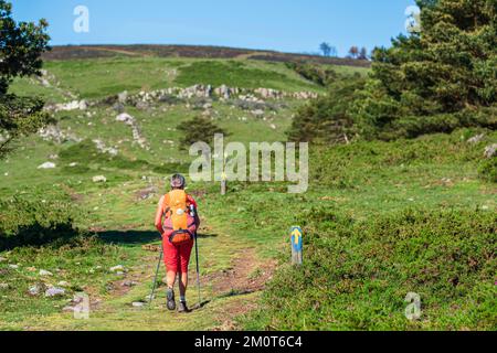 Espagne, Principauté des Asturies, municipalité de Tineo, randonnée sur le Camino Primitivo, itinéraire alternatif à travers Los Hospitales, chemin de pèlerinage espagnol à Saint-Jacques-de-Compostelle Banque D'Images