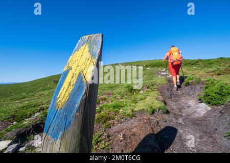 Espagne, Principauté des Asturies, municipalité de Tineo, randonnée sur le Camino Primitivo, itinéraire alternatif à travers Los Hospitales, chemin de pèlerinage espagnol à Saint-Jacques-de-Compostelle Banque D'Images