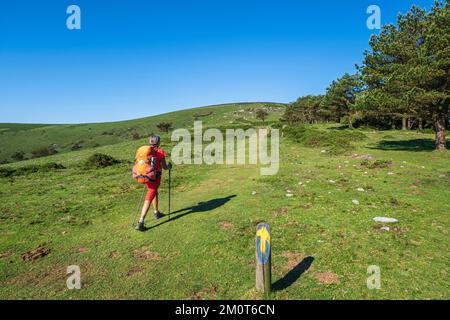 Espagne, Principauté des Asturies, municipalité de Tineo, randonnée sur le Camino Primitivo, itinéraire alternatif à travers Los Hospitales, chemin de pèlerinage espagnol à Saint-Jacques-de-Compostelle Banque D'Images