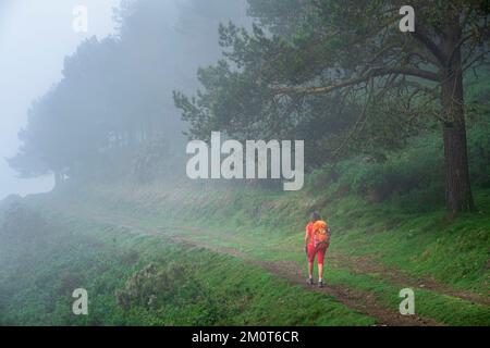 Espagne, Principauté des Asturies, commune de Tineo, environs de Samblismo, randonnée sur le Camino Primitivo, itinéraire alternatif à travers Los Hospitales, route espagnole de pèlerinage à Saint-Jacques-de-Compostelle Banque D'Images