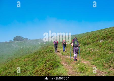 Espagne, Principauté des Asturies, municipalité de Tineo, randonnée sur le Camino Primitivo, itinéraire alternatif à travers Los Hospitales, chemin de pèlerinage espagnol à Saint-Jacques-de-Compostelle Banque D'Images