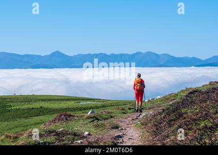 Espagne, Principauté des Asturies, municipalité de Tineo, randonnée sur le Camino Primitivo, itinéraire alternatif à travers Los Hospitales, chemin de pèlerinage espagnol à Saint-Jacques-de-Compostelle Banque D'Images