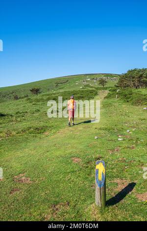 Espagne, Principauté des Asturies, municipalité de Tineo, randonnée sur le Camino Primitivo, itinéraire alternatif à travers Los Hospitales, chemin de pèlerinage espagnol à Saint-Jacques-de-Compostelle Banque D'Images