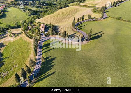 Italie, Toscane, Montichiello, Val d'Orcia classé au patrimoine mondial de l'UNESCO, route sinueuse bordée de cyprès (vue aérienne) Banque D'Images