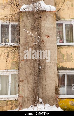 Longue lierre séchée sur le mur d'une ancienne maison de sorbby. Fenêtres en plastique dans le mur d'une maison en ruine. Hiver jour nuageux, lumière douce. Banque D'Images